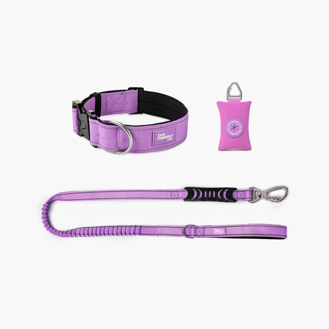 Halsband-Set für Spaziergänge - Lila