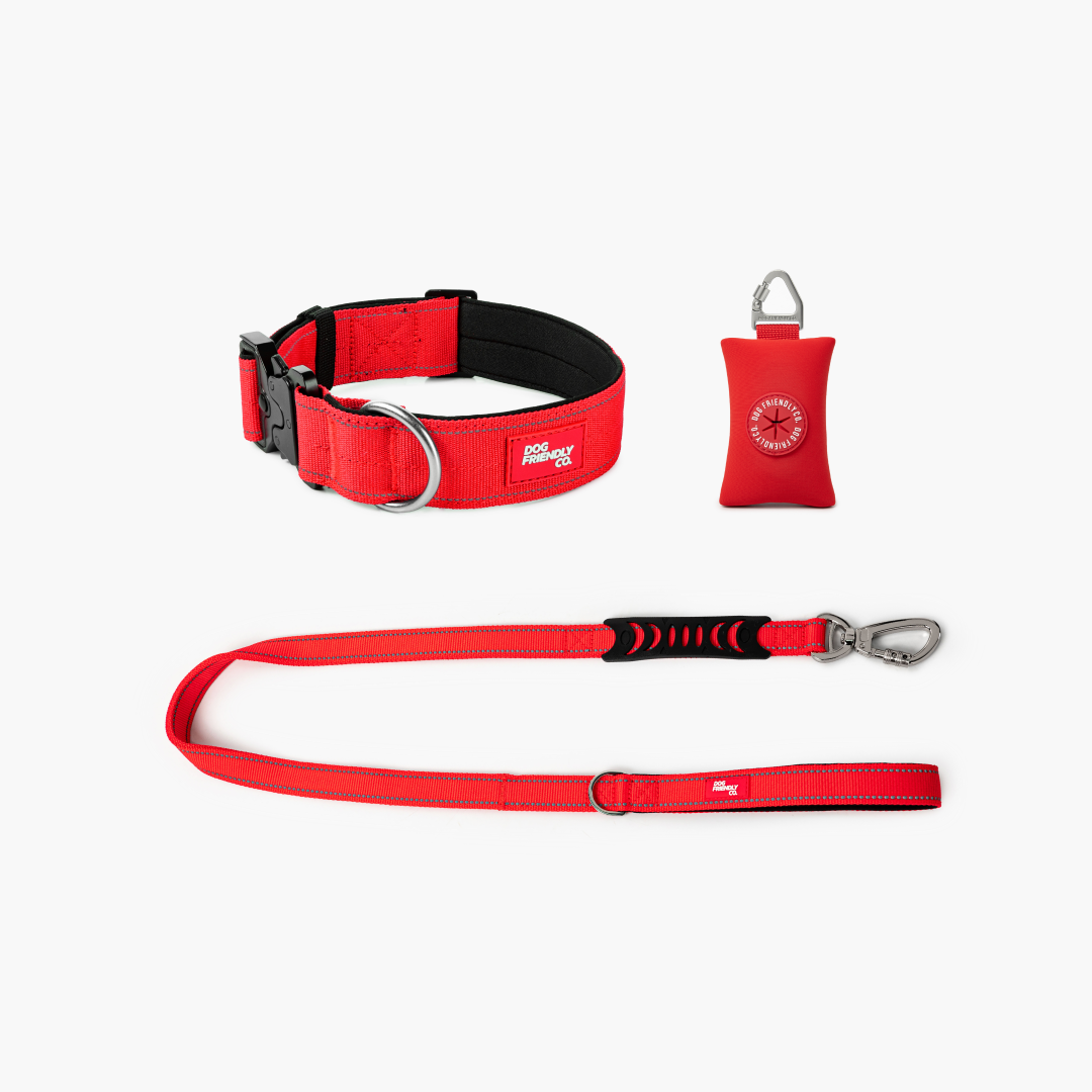 Halsband-Set für Spaziergänge - Rot