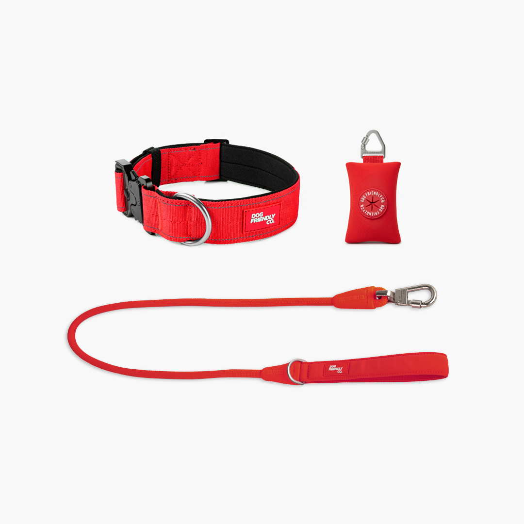 Halsband-Set für Spaziergänge - Rot