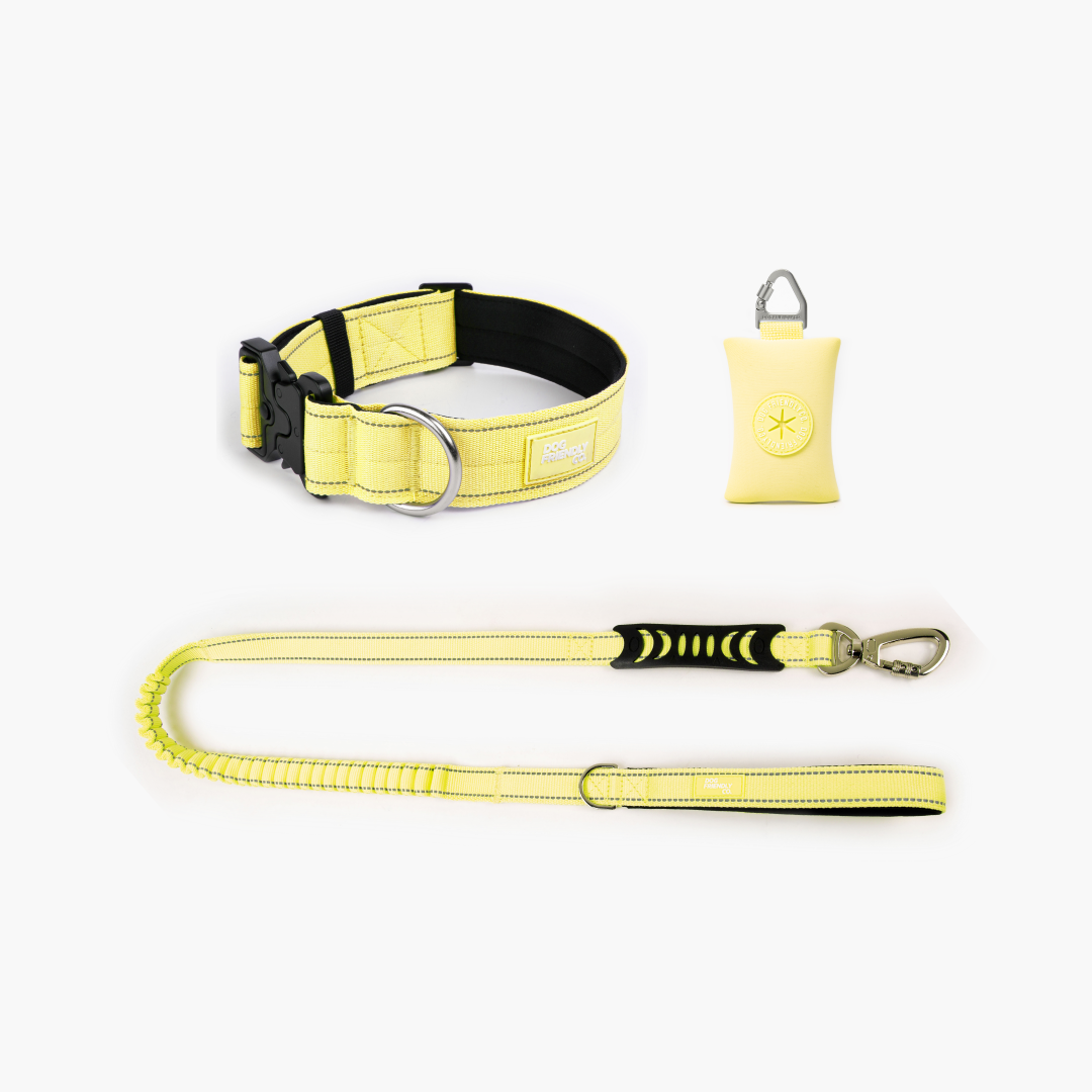 Halsband-Set gelb