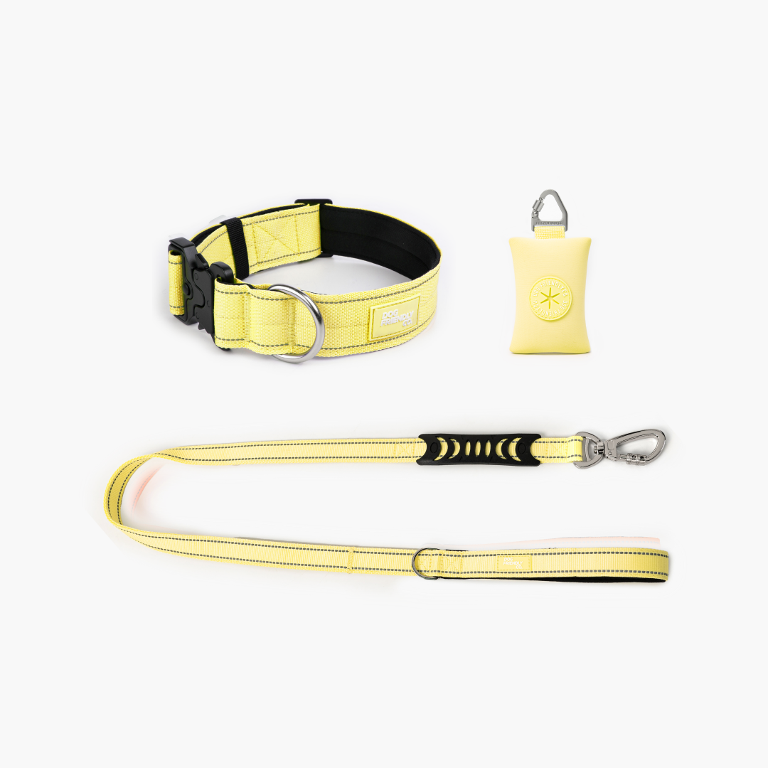 Halsband-Set gelb