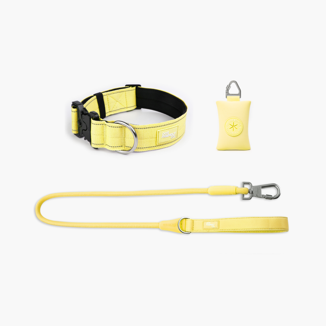 Halsband-Set gelb