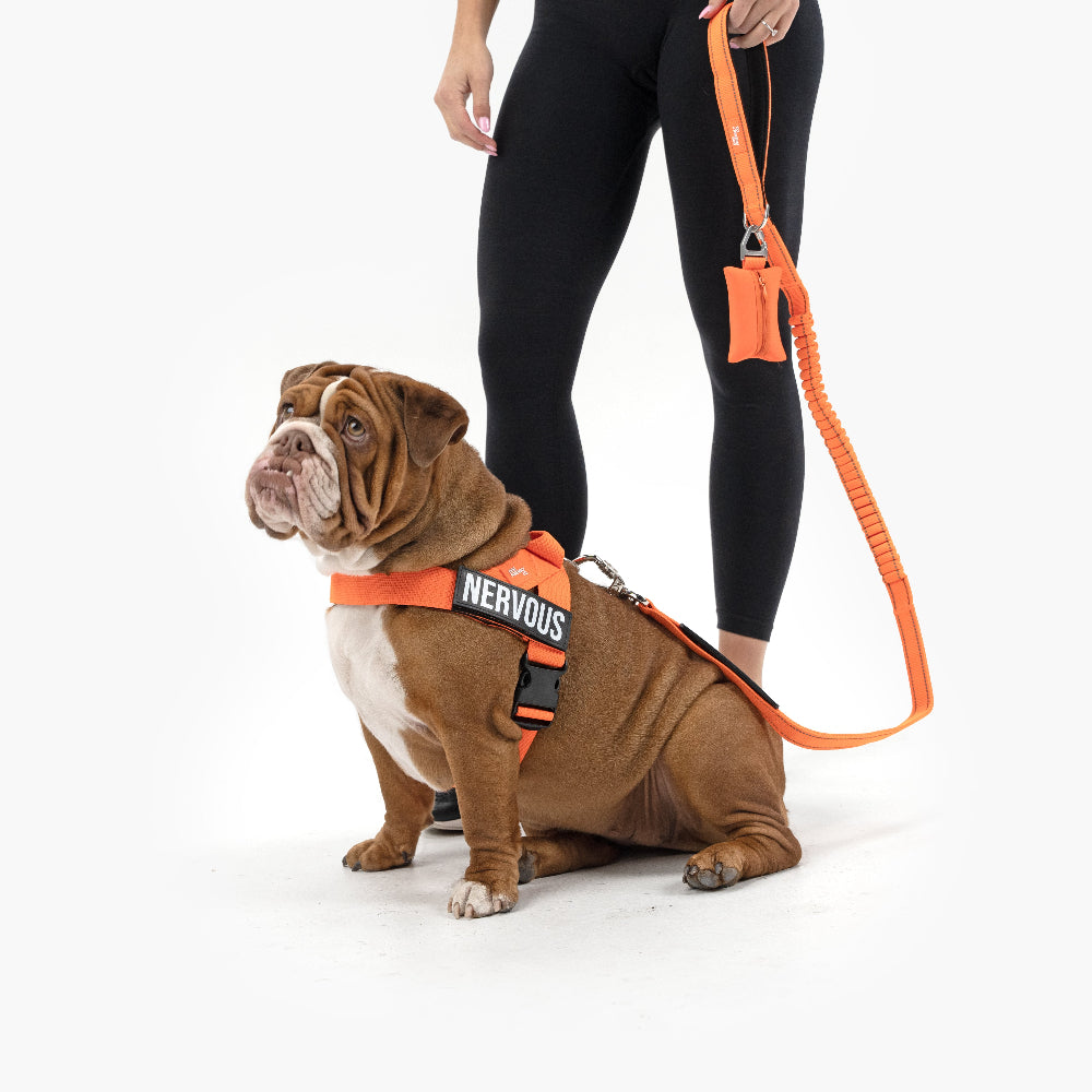 Walk Essentials - Hi-Vis Orange -> Walk Essentials - Signalfarbe Orange