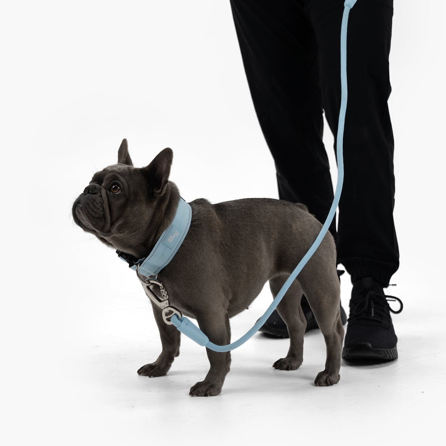 Tactical Dog Collar - Sky Blue