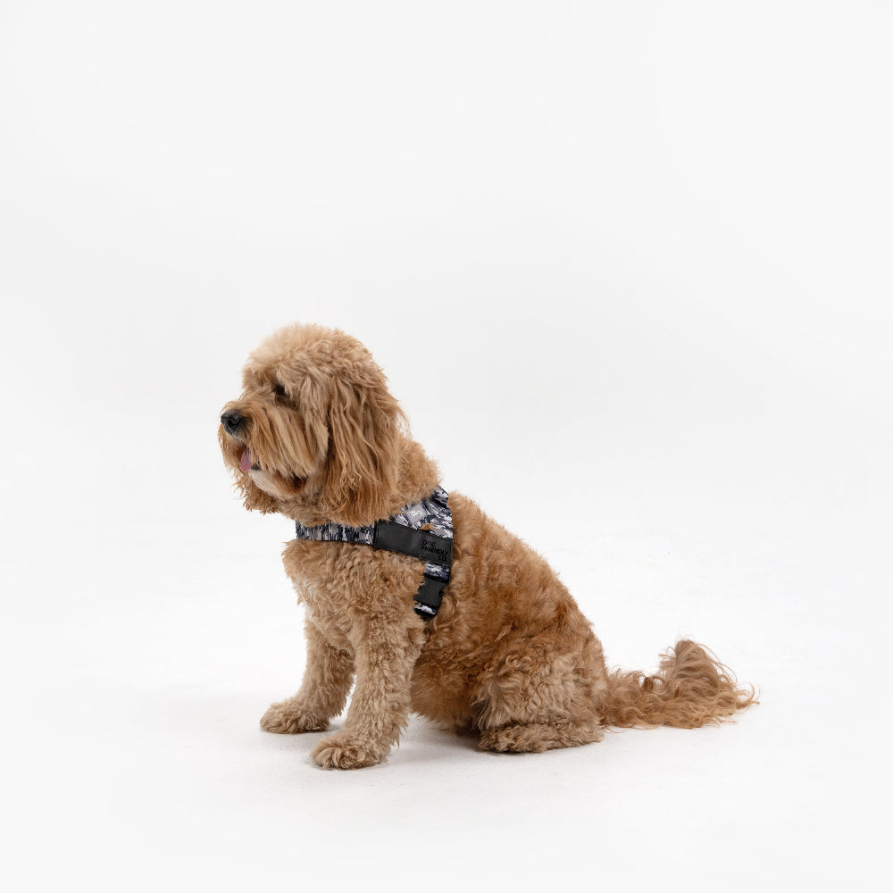 Dog Harness - Grey Camo