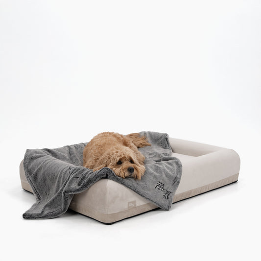 Premium Orthopedic Memory Foam Dog Bed - Beige (Medium)