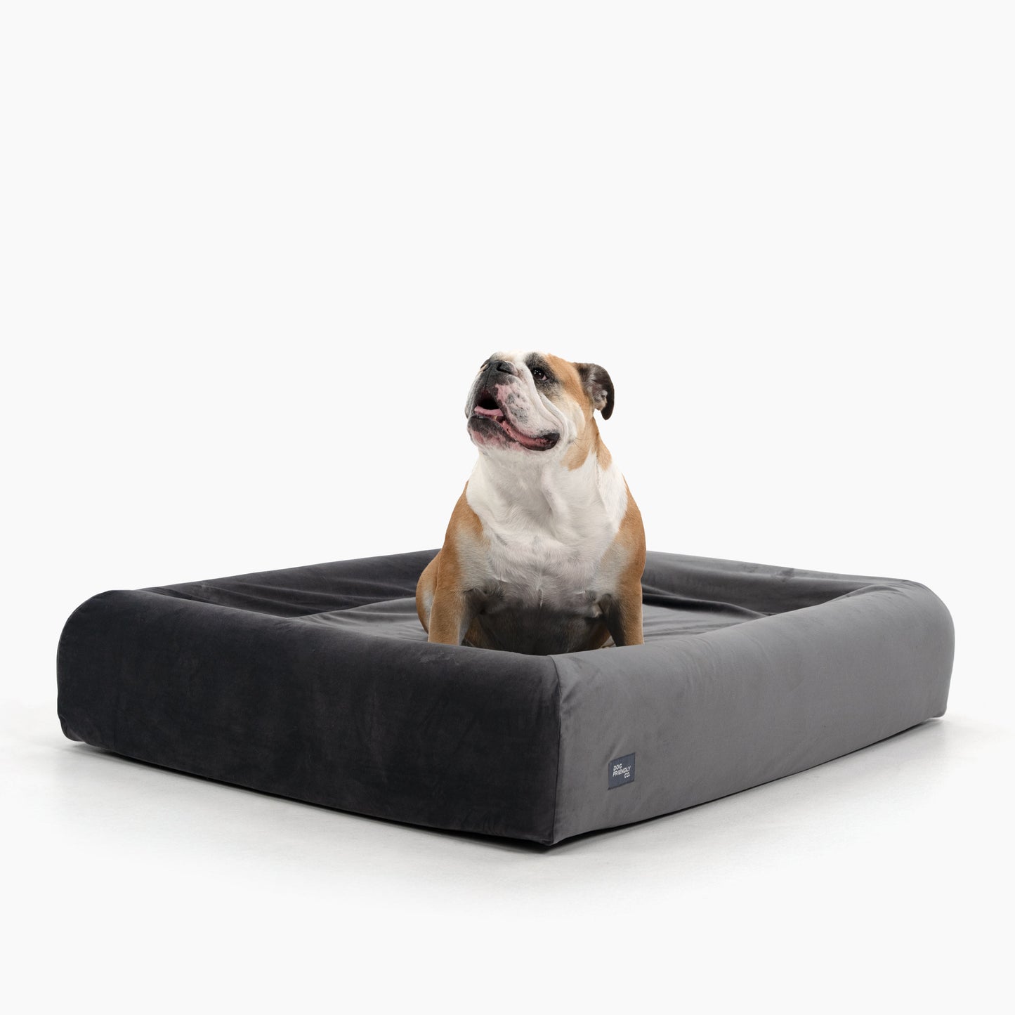 Orthopedic Memory Foam Dog Bed - Charcoal (Small)