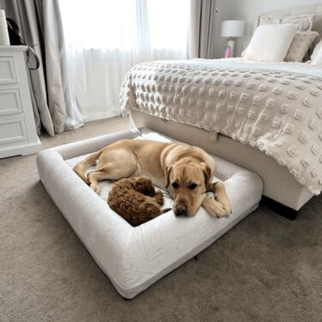 Orthopedic Memory Foam Dog Bed - Beige (Medium)