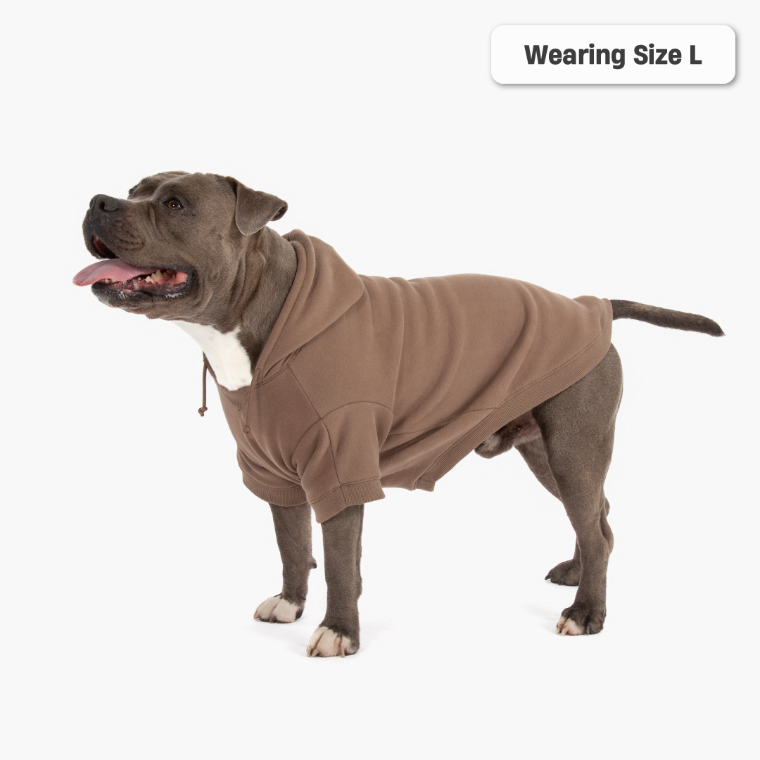 Winterhundehoodies - Braun