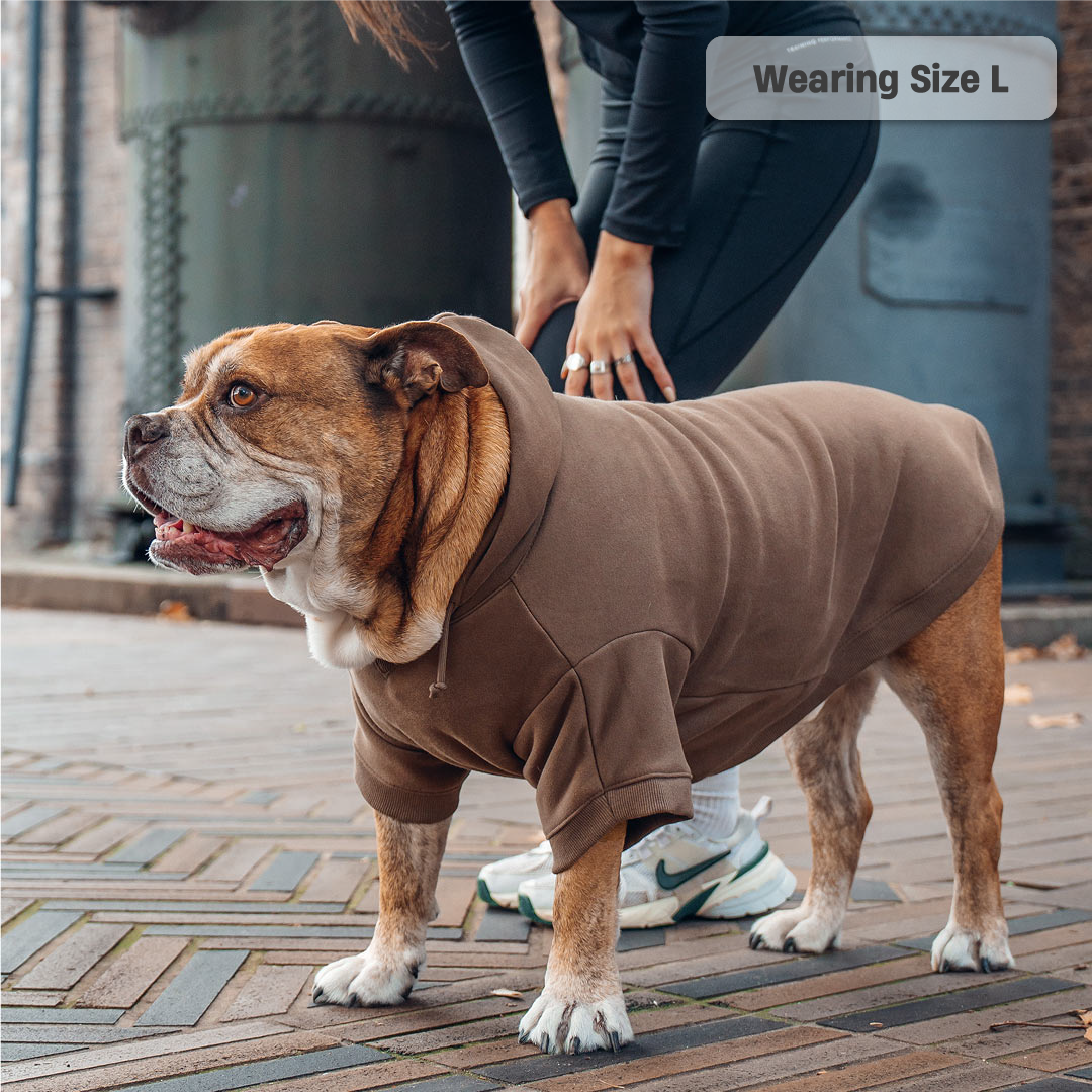 Winterhundehoodies - Braun