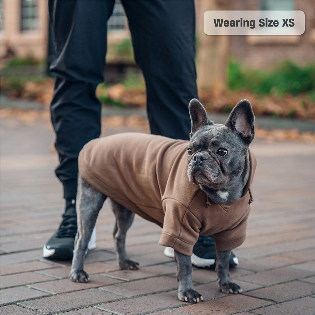 Winterhundehoodies - Braun