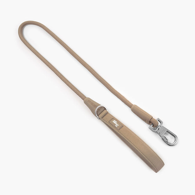 Walk Essentials - Braun