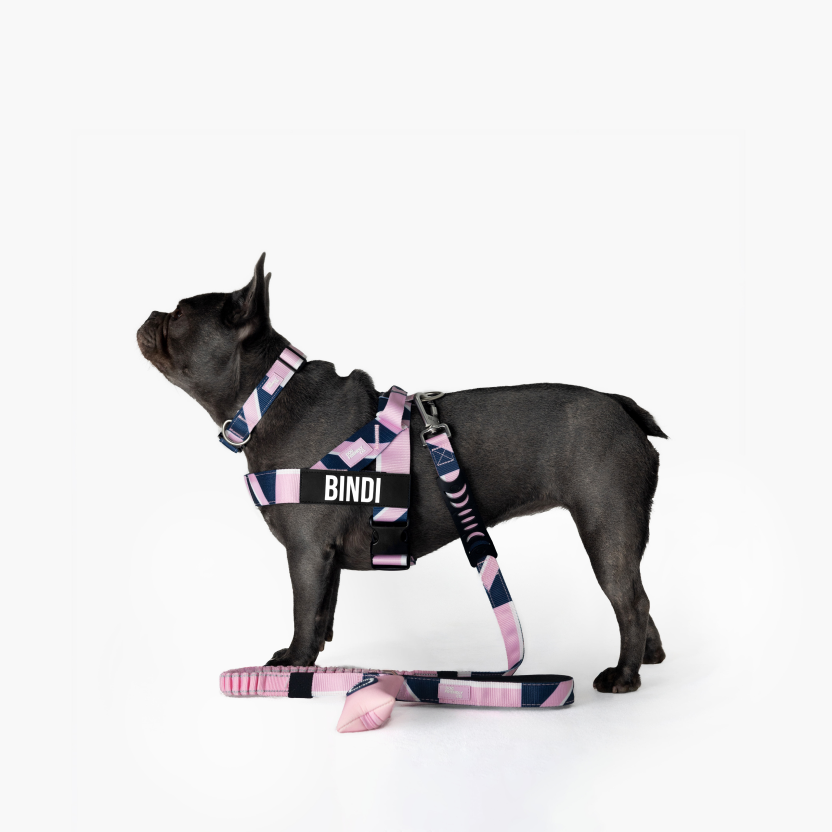 Tactical Dog Collar - Limited Edition Pink