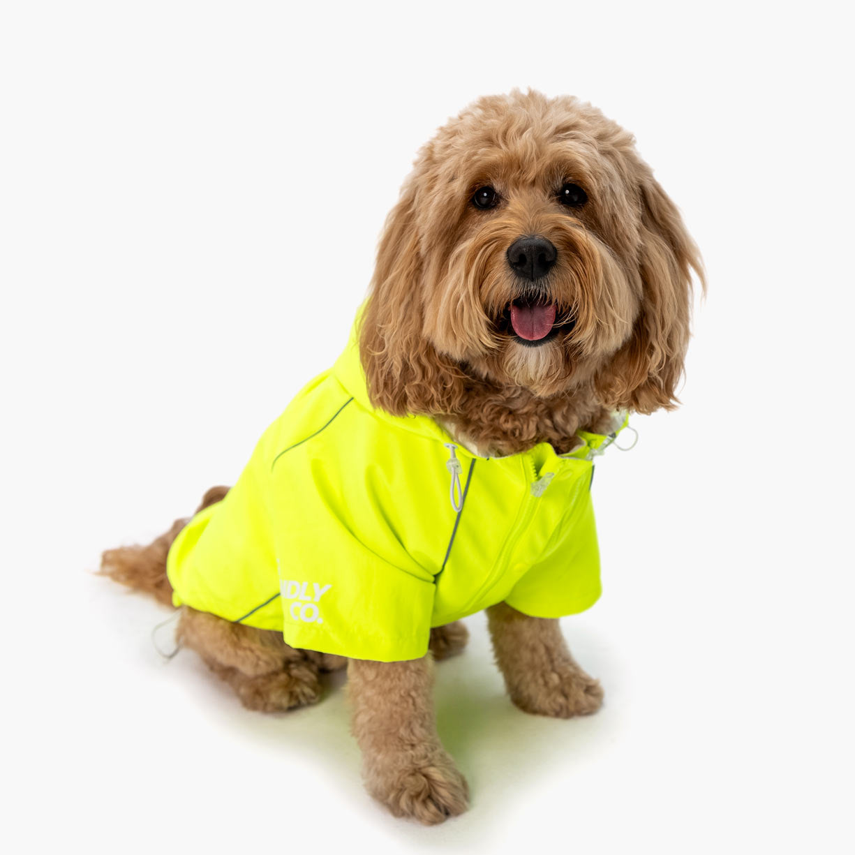 Storm Pro Raincoat