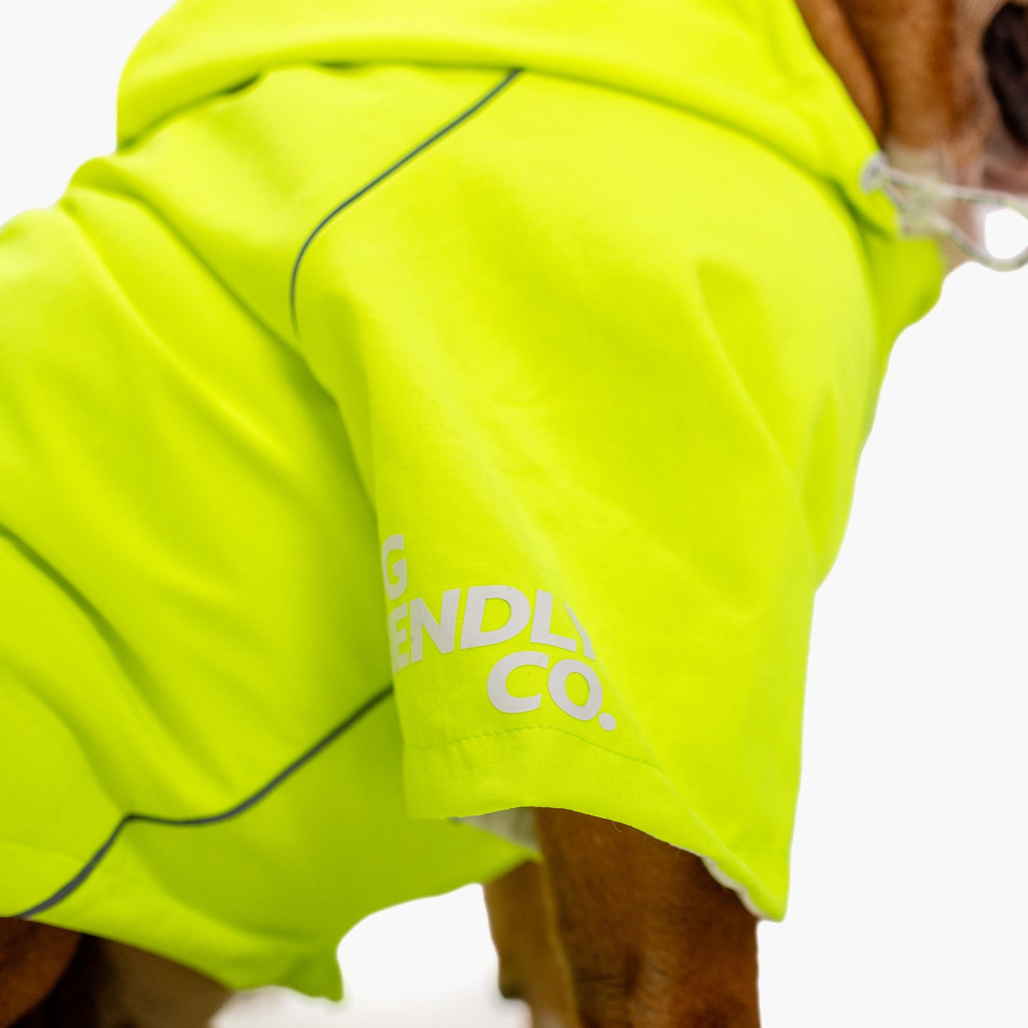 Storm Pro Raincoat