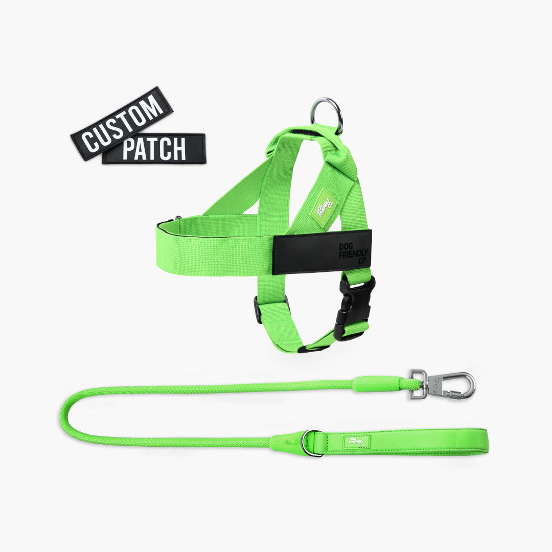 Signature Kit - Neon Grün