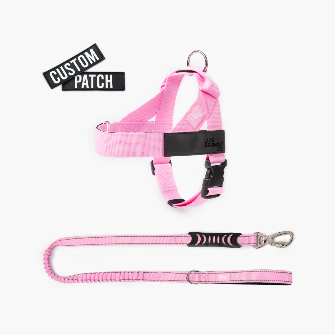 Signature Kit - Rosa