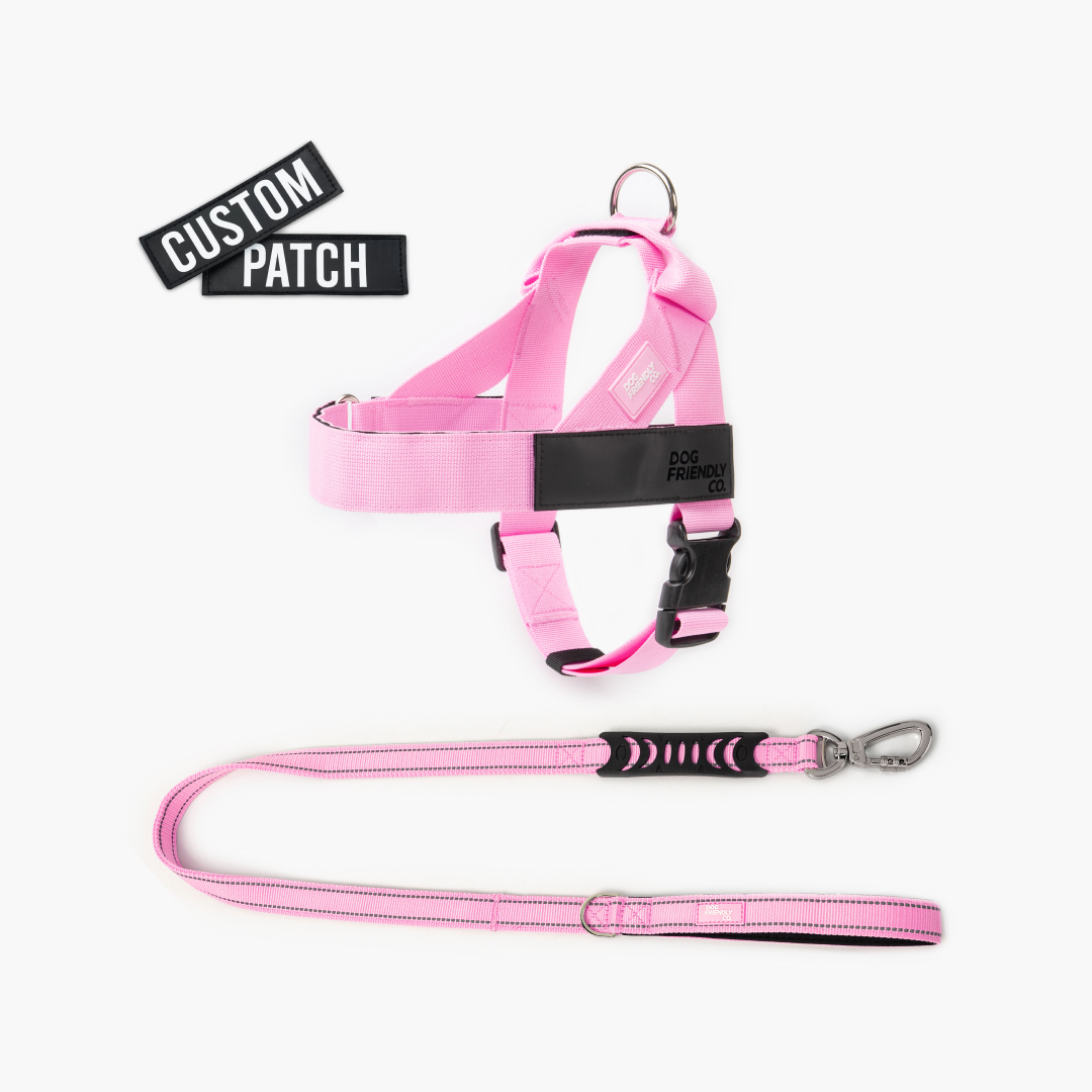 Signature Kit - Rosa