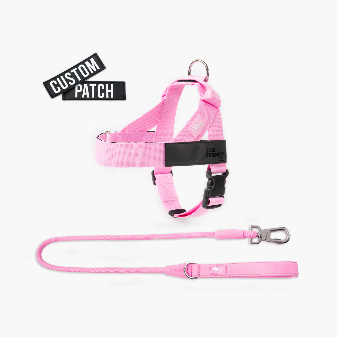 Signature Kit - Rosa