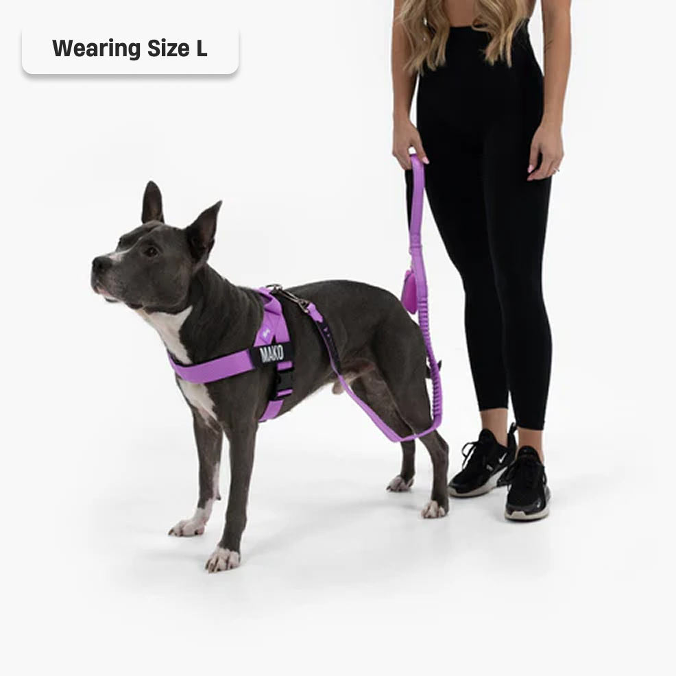 Signature Kit - Violett
