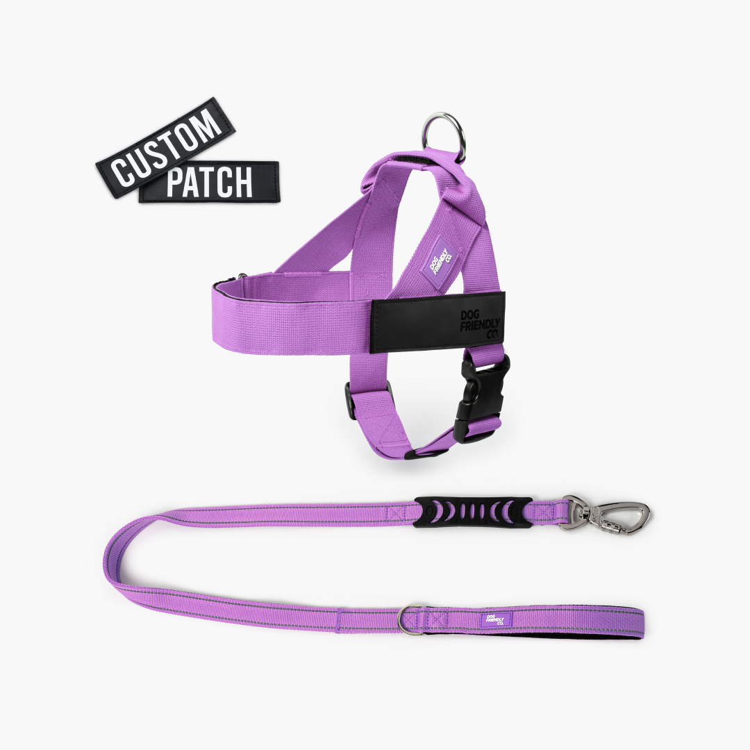 Signature Kit - Violett
