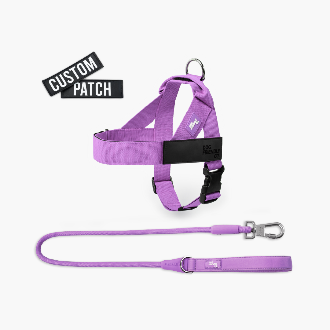 Signature Kit - Violett