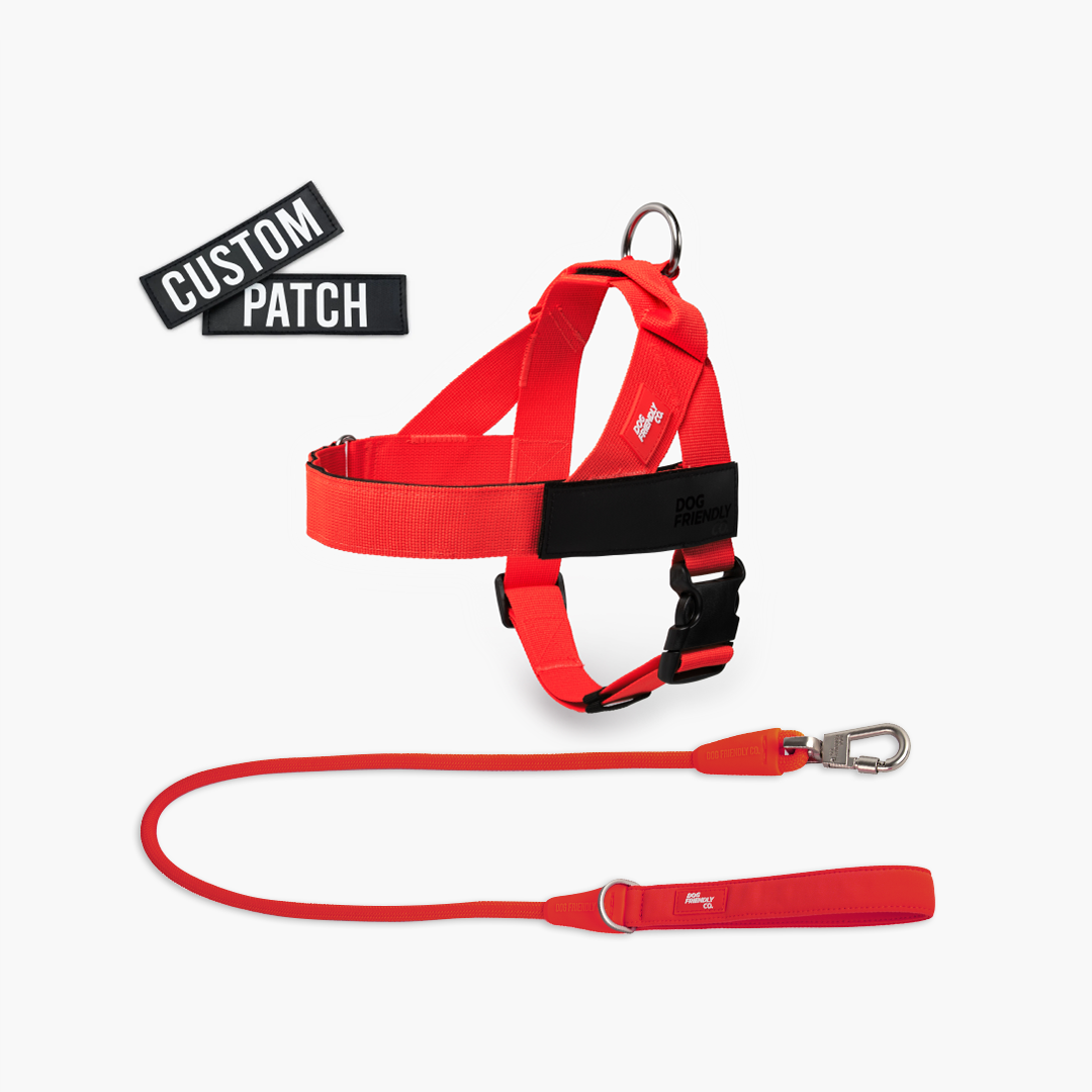 Signature Kit - Rot