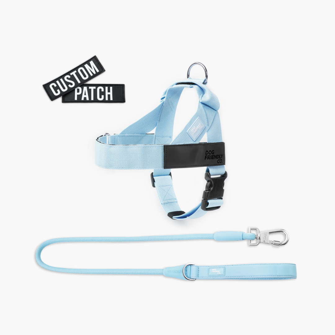 Signature Kit - Himmelblau