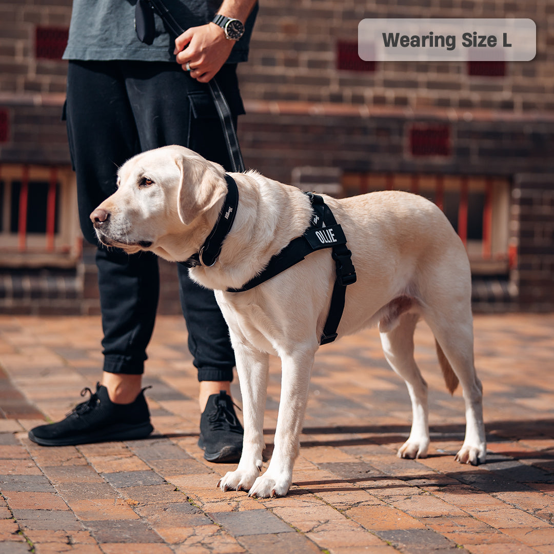 Walk Essentials - Schwarz