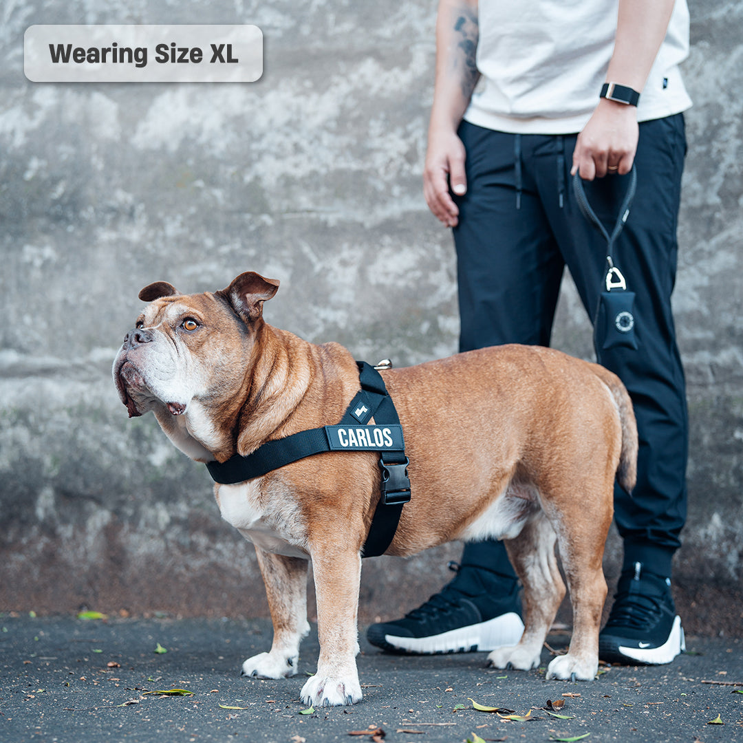 Walk Essentials - Schwarz