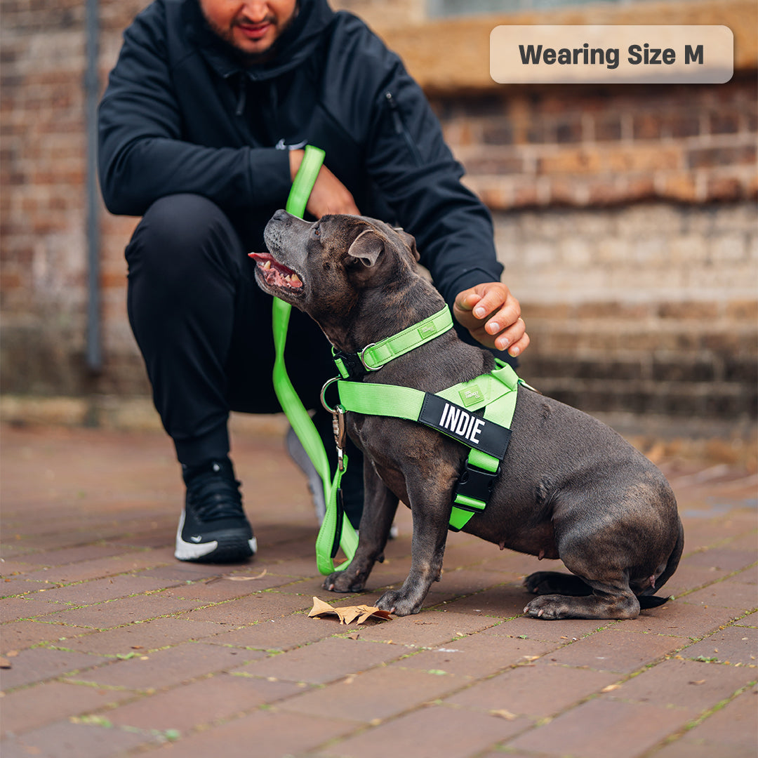 Walk Essentials - Neon Grün