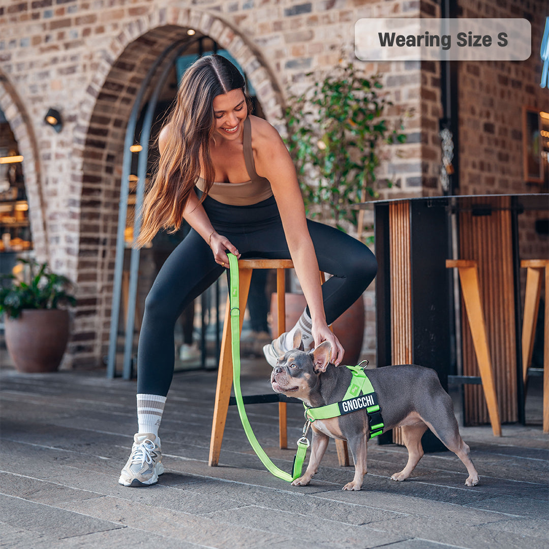 Walk Essentials - Neon Grün