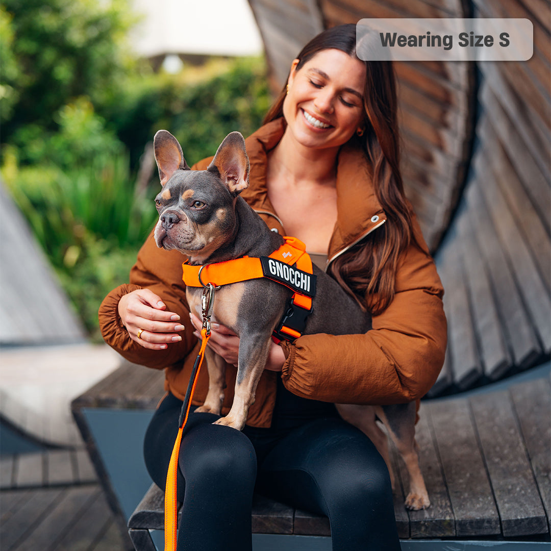 Walk Essentials - Hi-Vis Orange -> Walk Essentials - Signalfarbe Orange