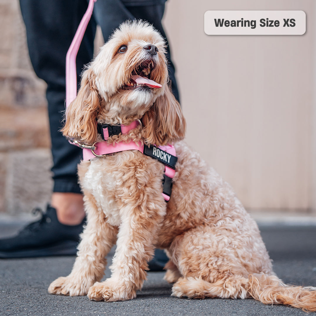 Walk Essentials - Rosa