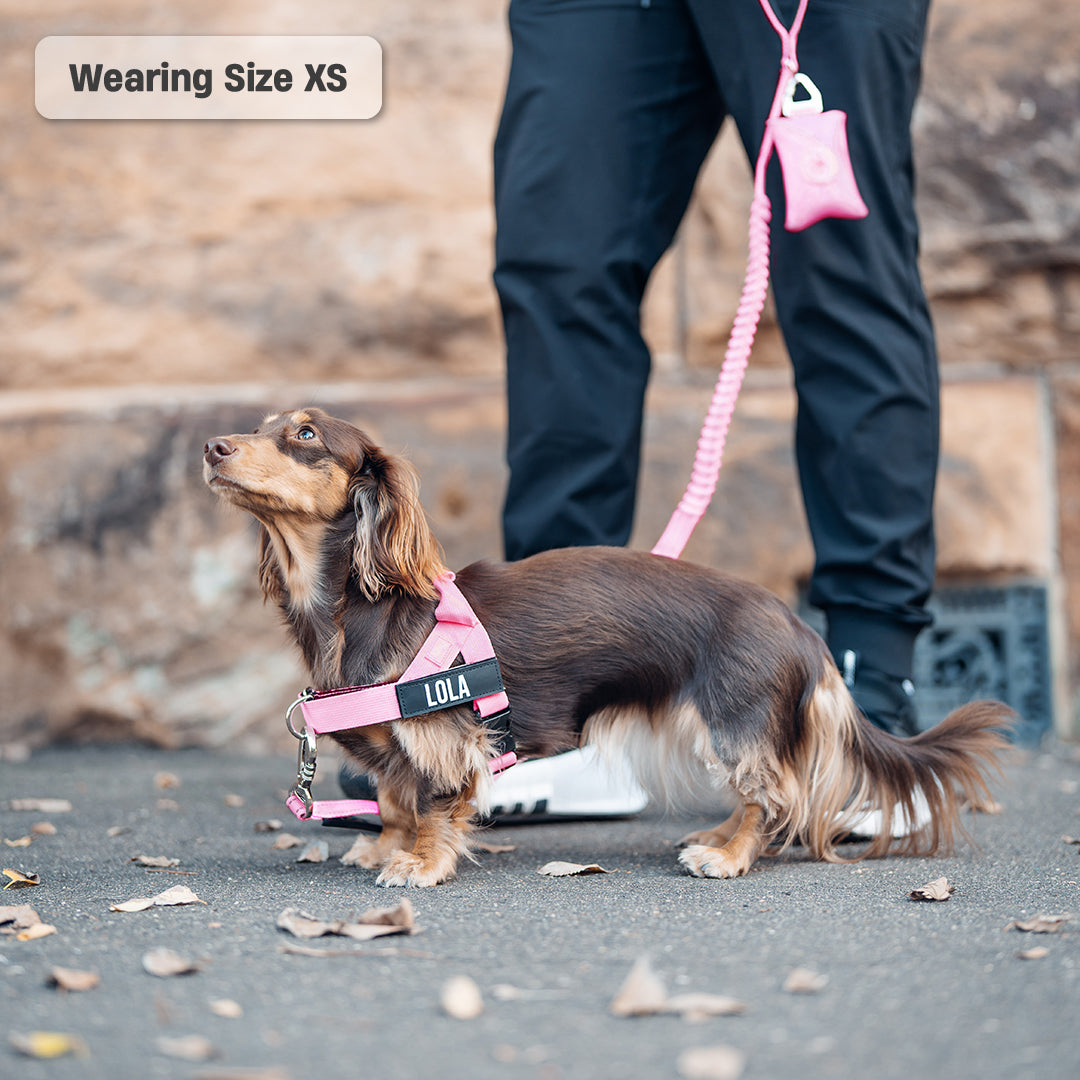 Walk Essentials - Rosa