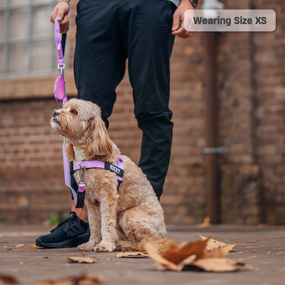 Walk Essentials - Violett