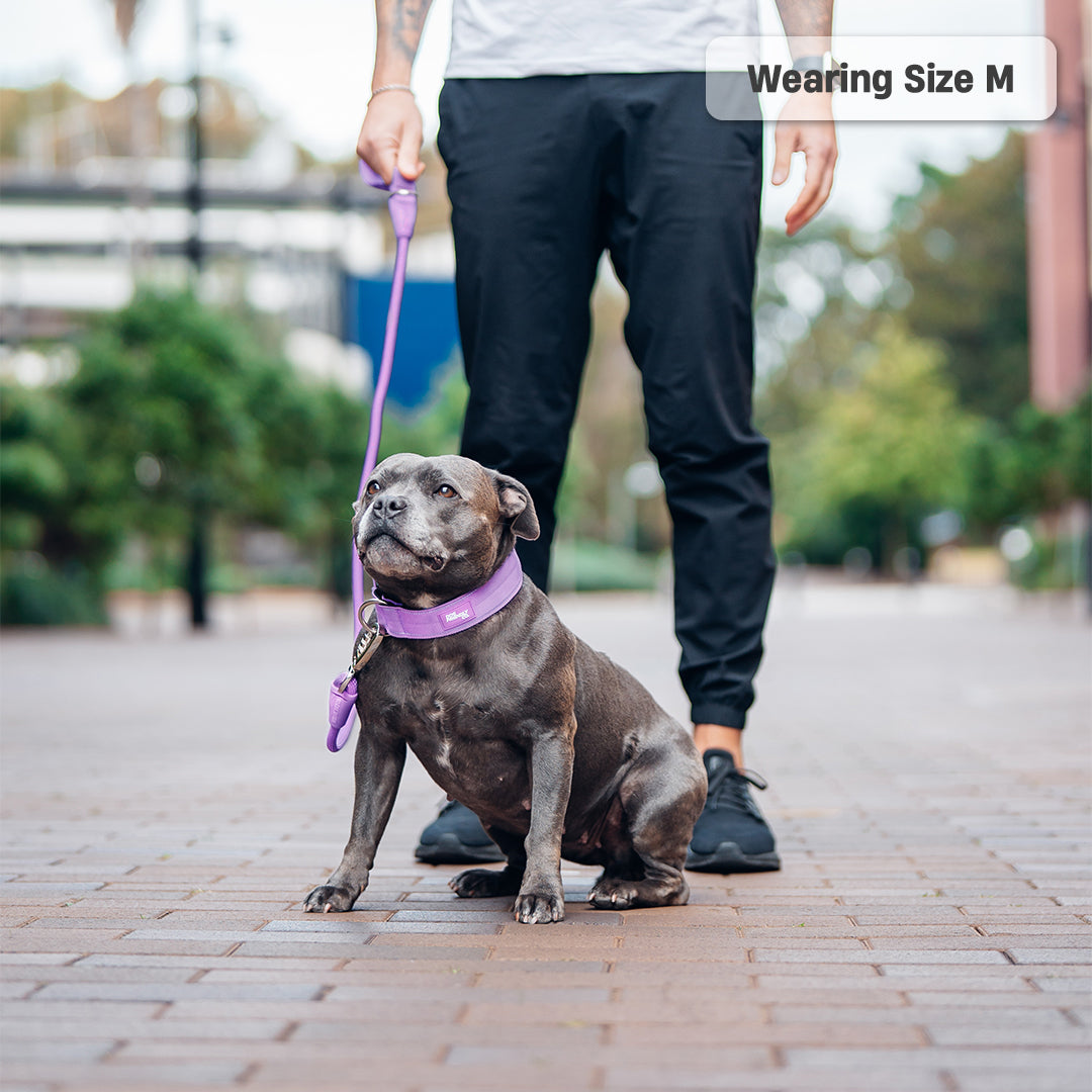 Walk Essentials - Violett