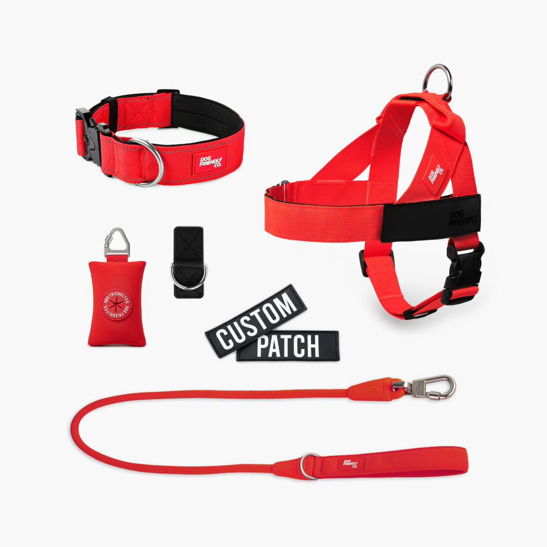 Walk Essentials - Rot
