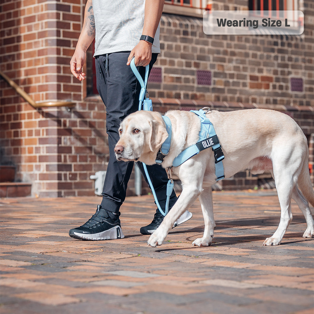 Walk Essentials - Himmelblau