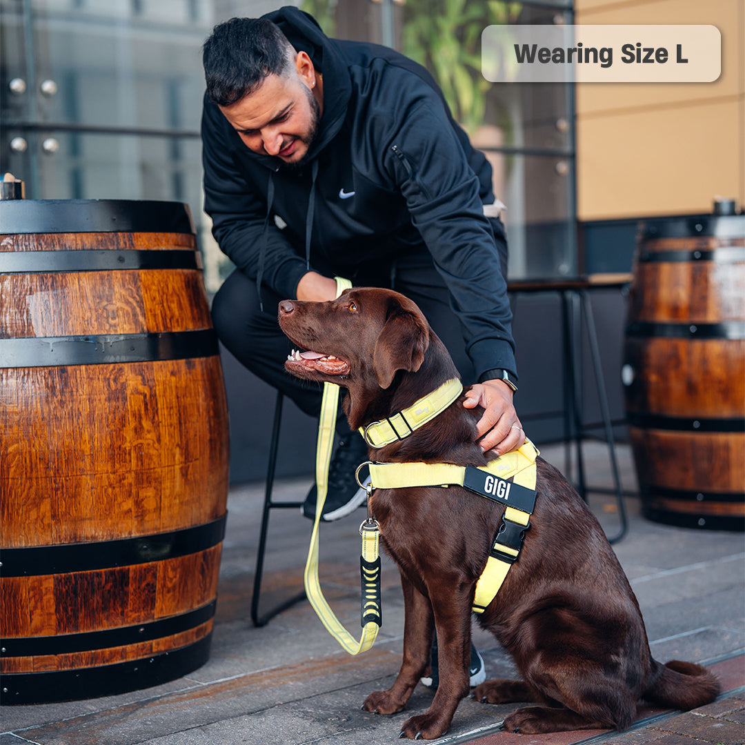 Walk Essentials - Gelb