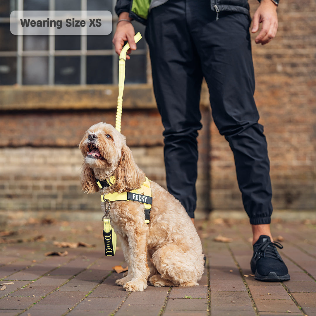 Walk Essentials - Gelb
