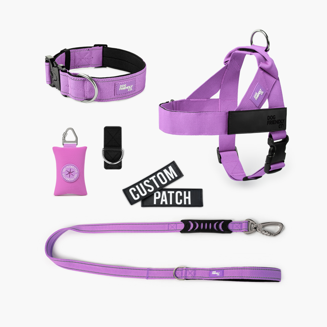 Walk Essentials - Violett