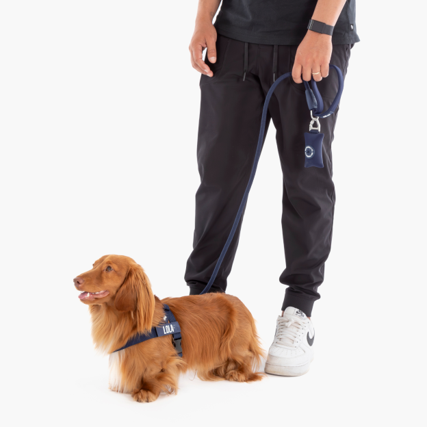 Walk Essentials - Marineblau