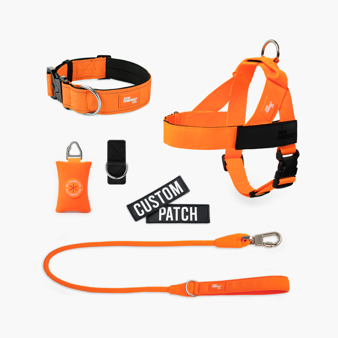 Walk Essentials - Hi-Vis Orange -> Walk Essentials - Signalfarbe Orange