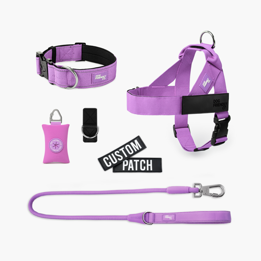 Walk Essentials - Violett