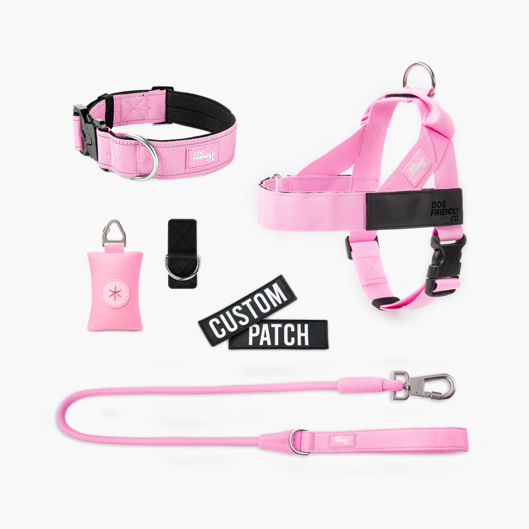 Walk Essentials - Rosa