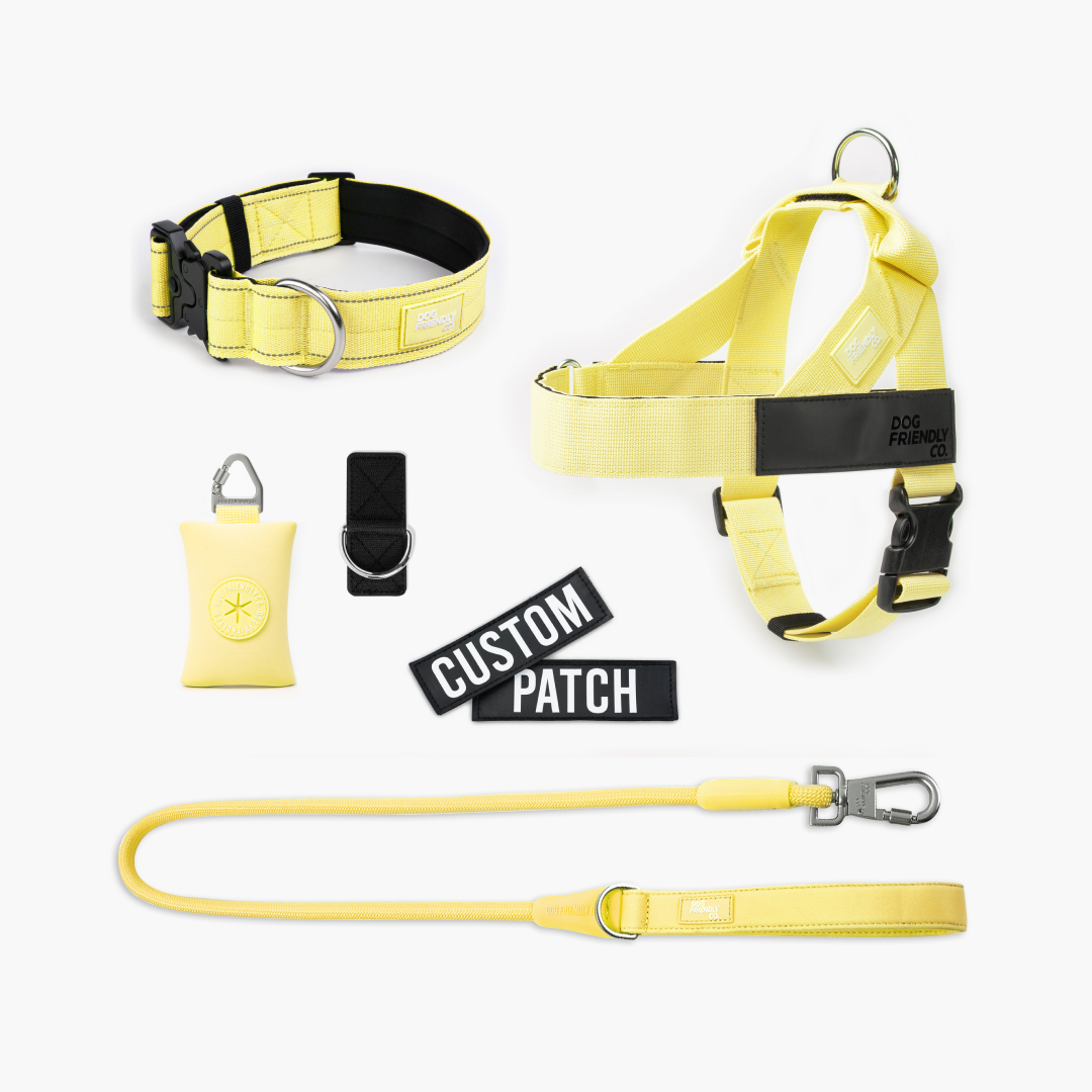 Walk Essentials - Gelb