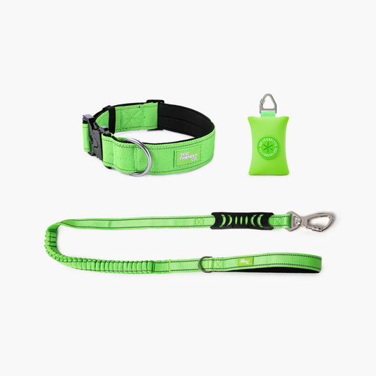 Halsband-Set für Spaziergänge - Neon Grün