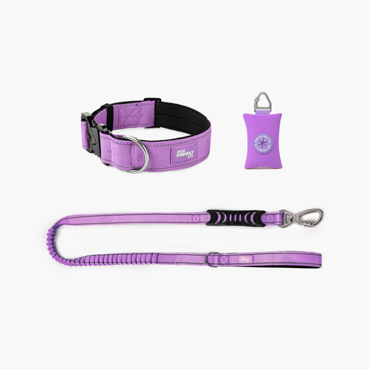 Halsband-Set für Spaziergänge - Lila