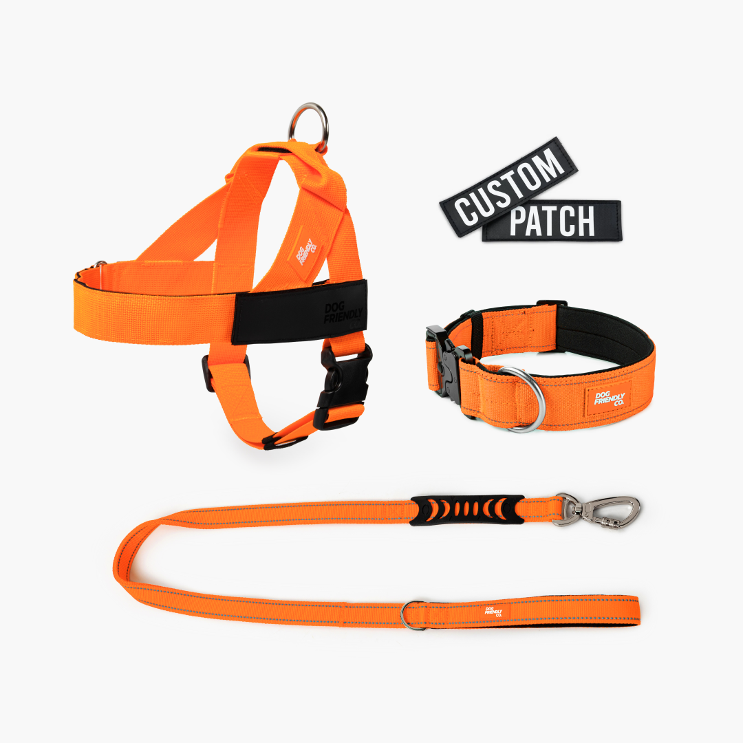 Dog Lovers Pack - Hi-Vis Orange